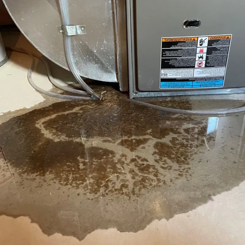 Pipe Burst and Leak Restoration in Lebanon, PA