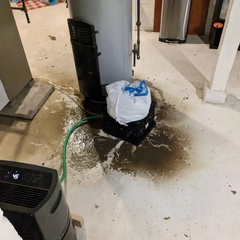 Sewage Backup Cleanup Service in Lebanon, PA